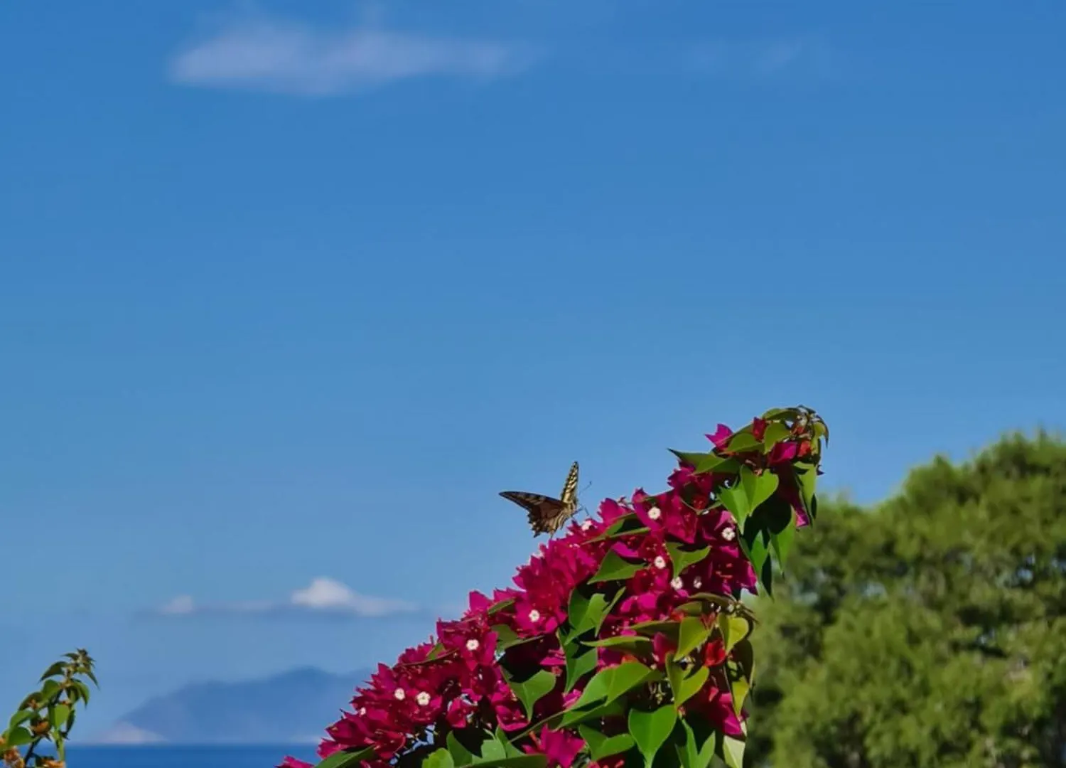 Villa Kalon Sicily With Private Pool Sea View Marsala Itálie